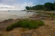 _IMG3063 copy.jpg